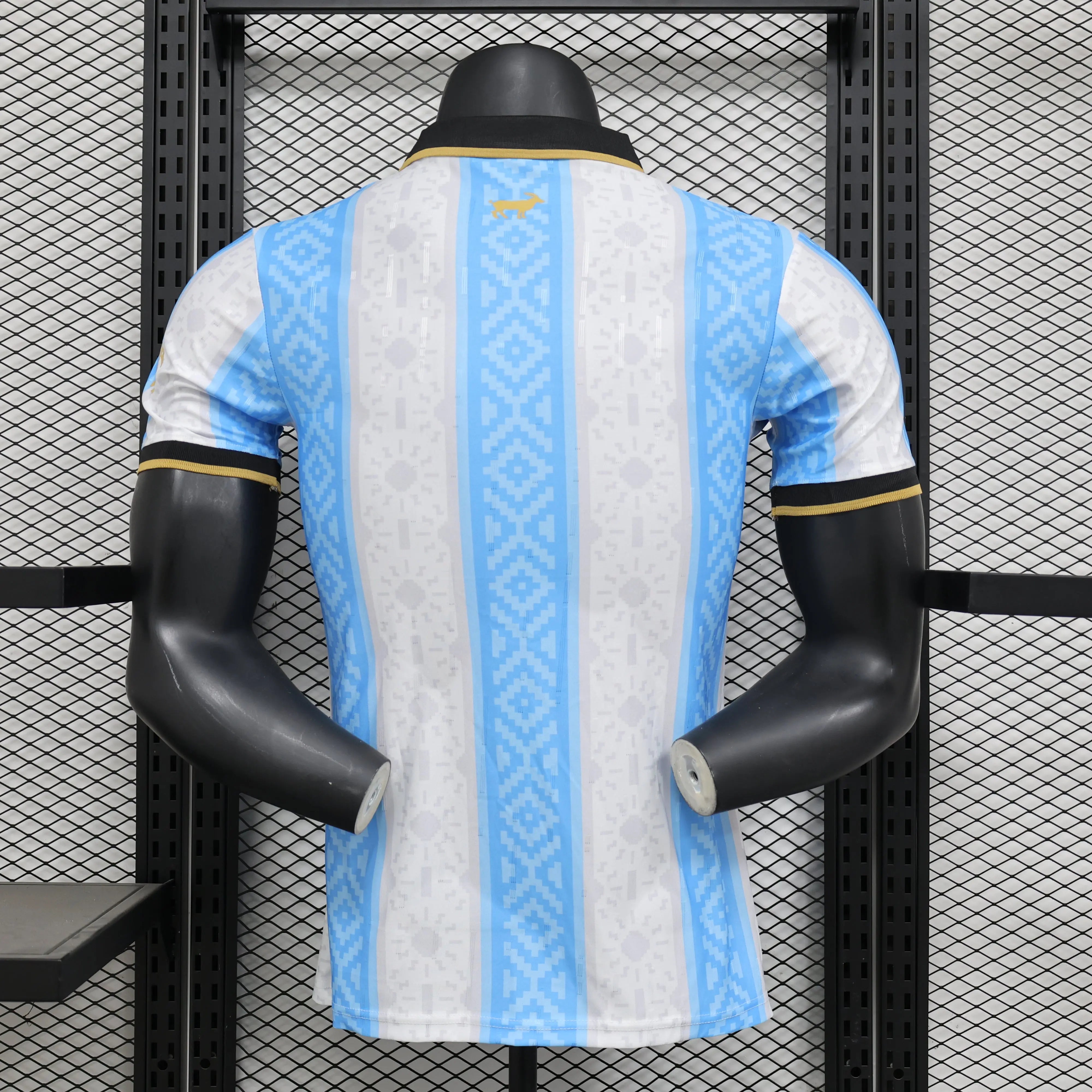 Maillot 24/25 Argentine Spécial