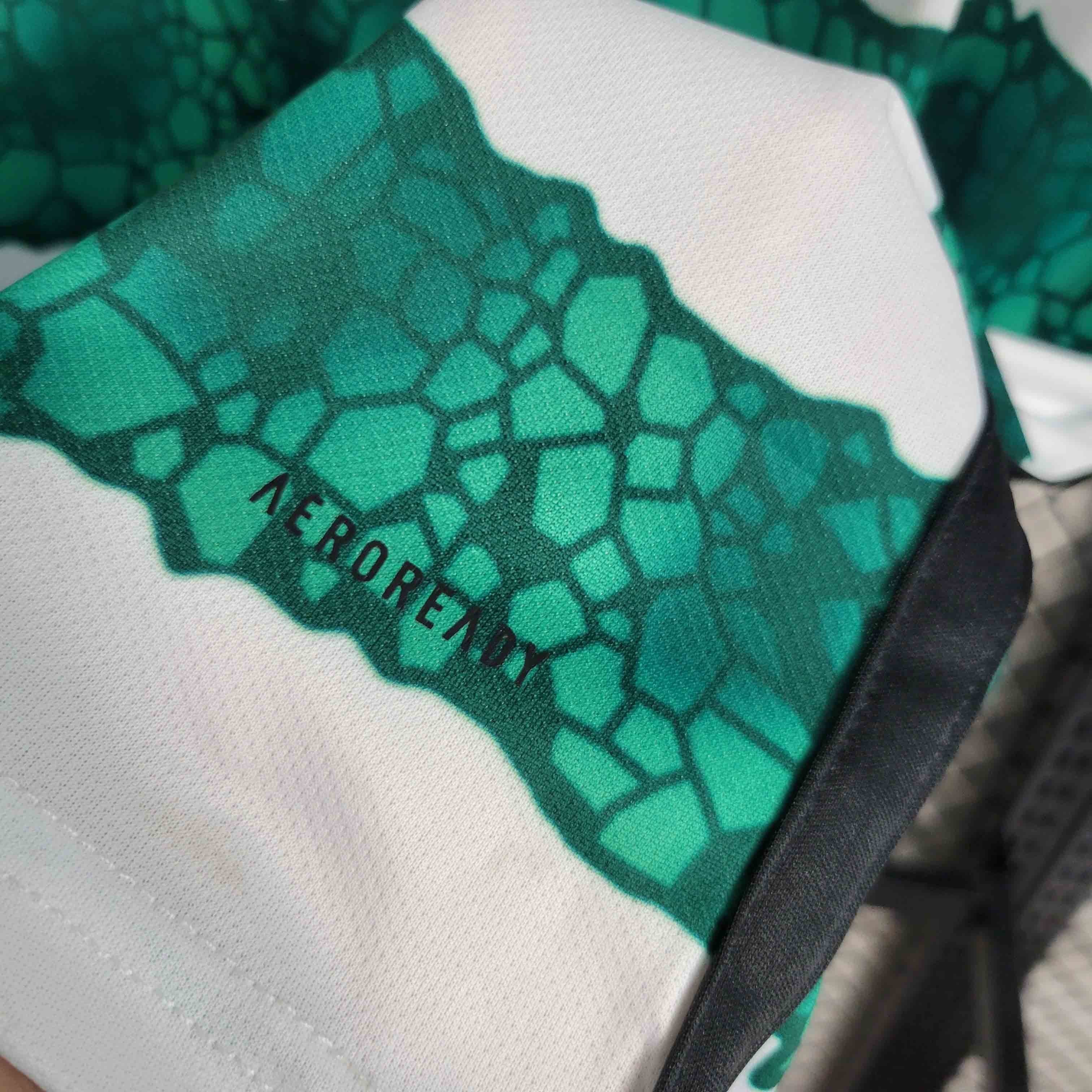 CELTIC - MAILLOT DOMICILE 23/24