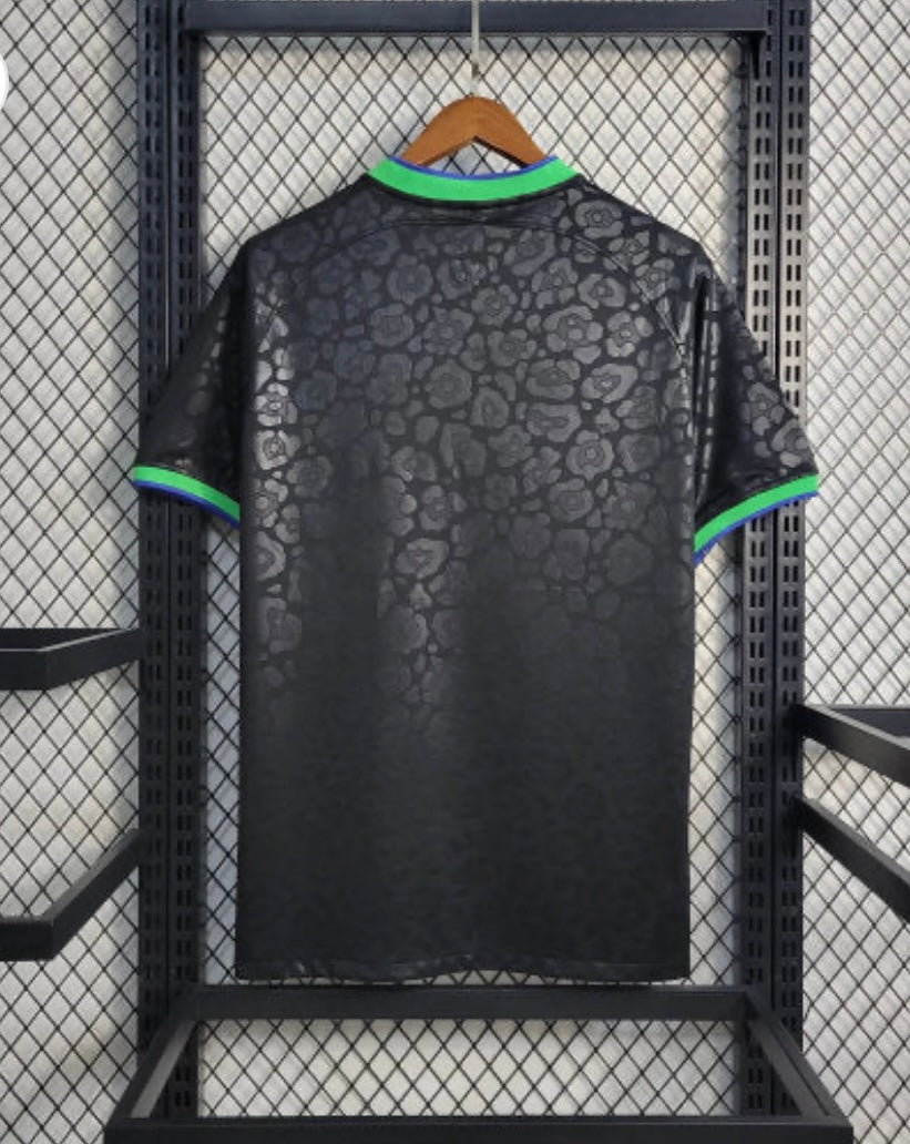 Brésil 2023 Concept