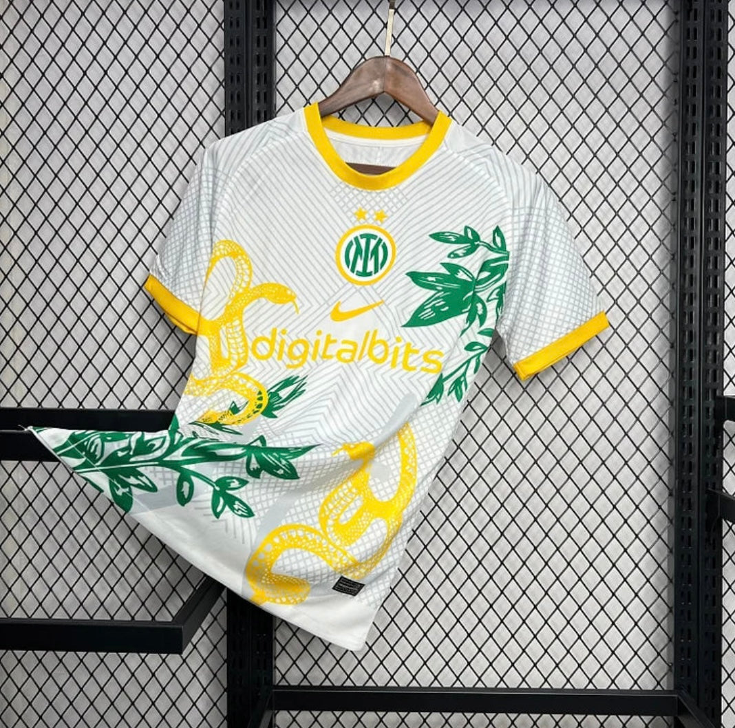 Inter Milan 2024/25 Concept