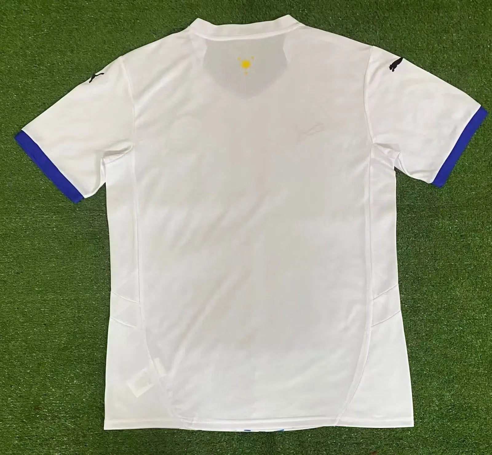 PHILIPPINES - MAILLOT CONCEPT 24/25