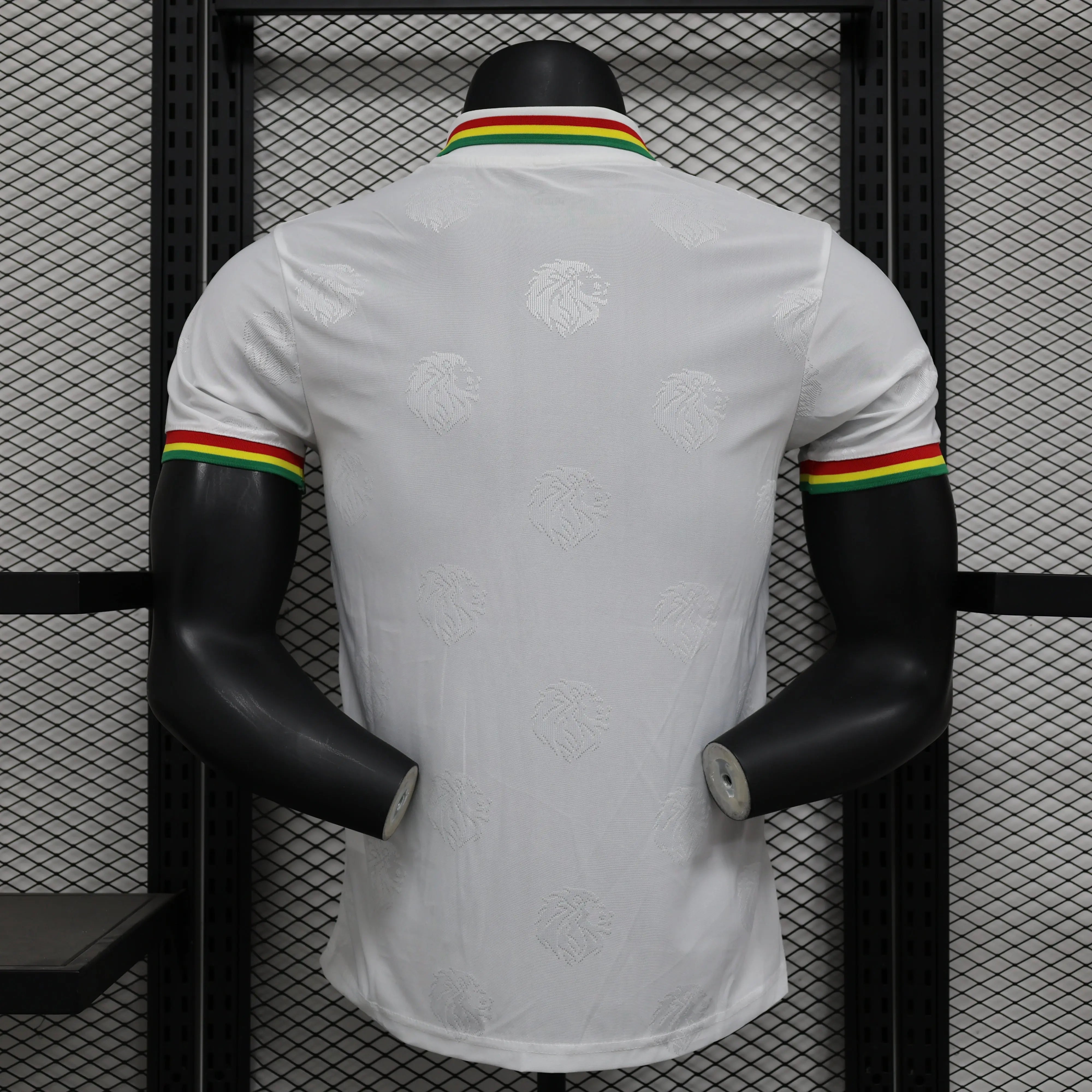 Maillot PLAYER 24/25 Sénégal Spécial Blanc