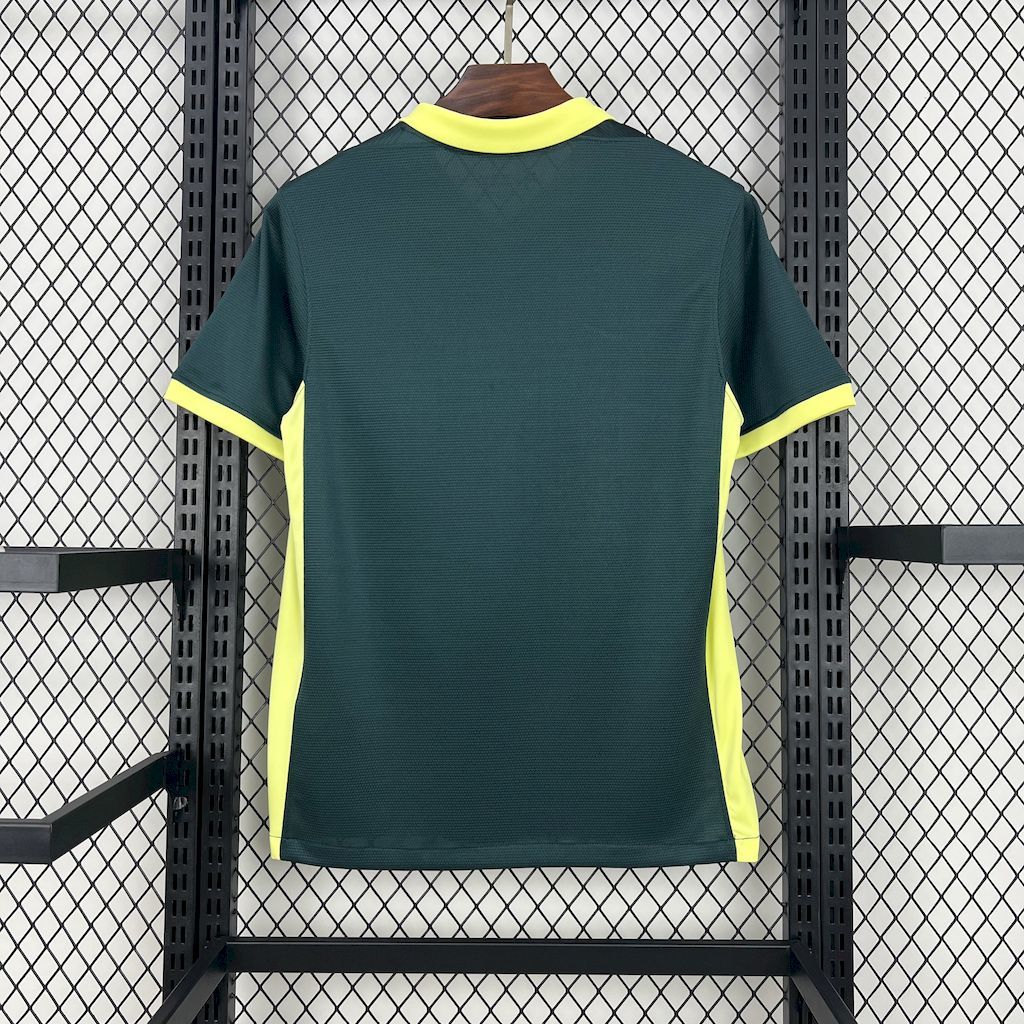 FC BARCELONE - MAILLOT ENTRAINEMENT 24/25