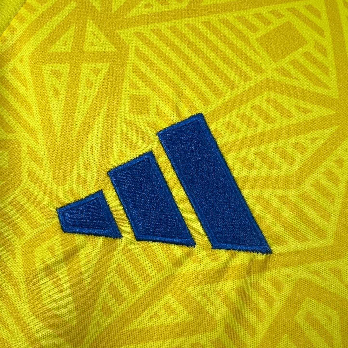 2026 Ukraine World Cup Home