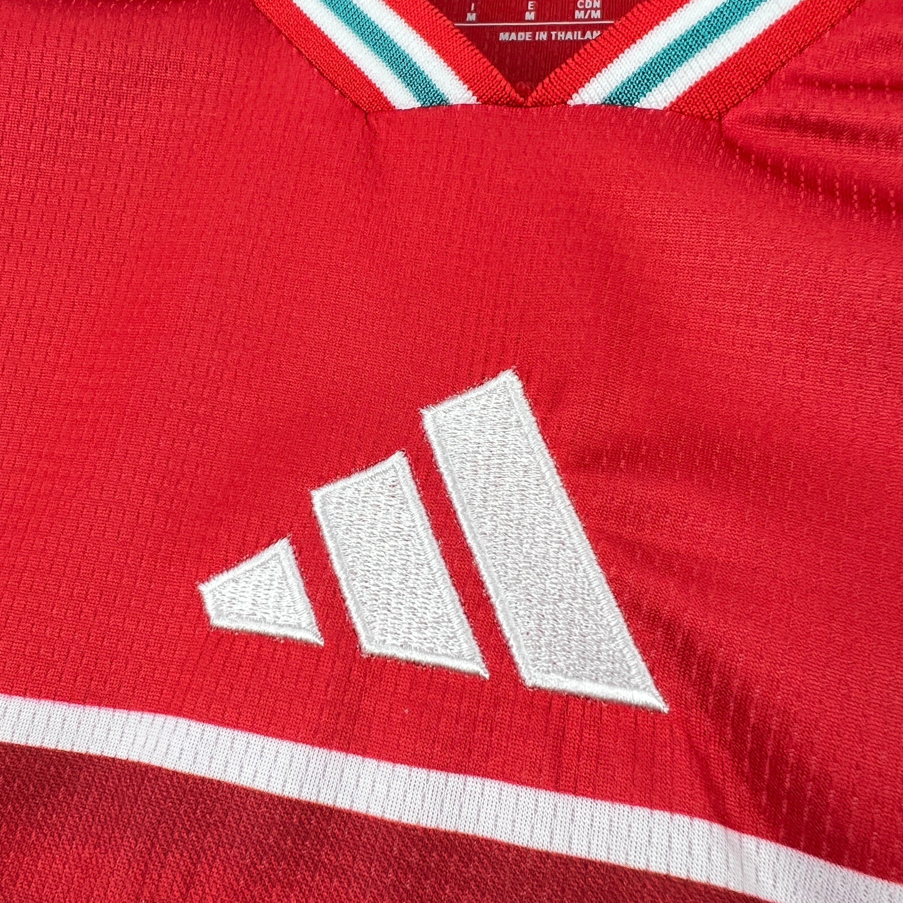 PAYS DE GALLES - MAILLOT DOMICILE 2026