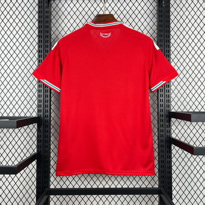 2026 Wales World Cup Home