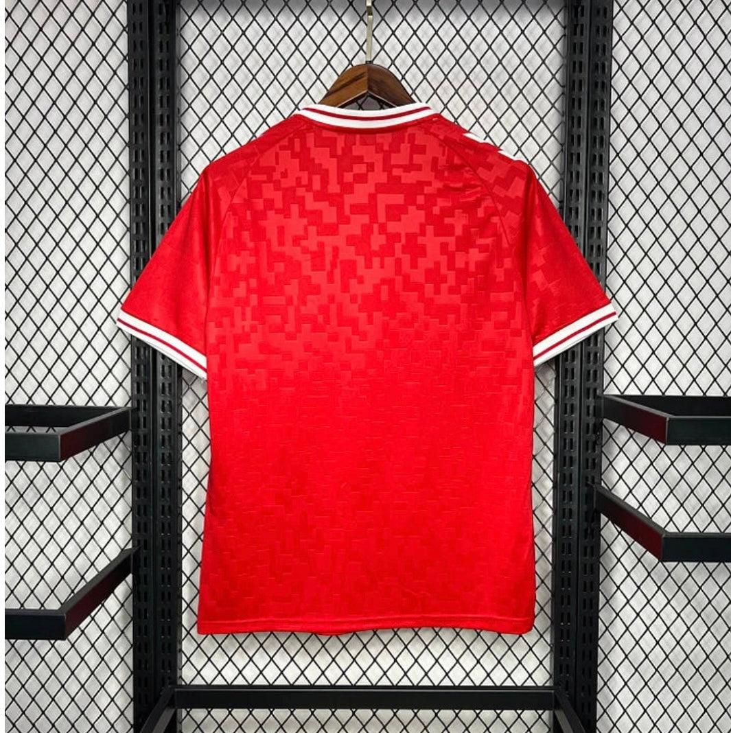 DANEMARK - MAILLOT DOMICILE 2024
