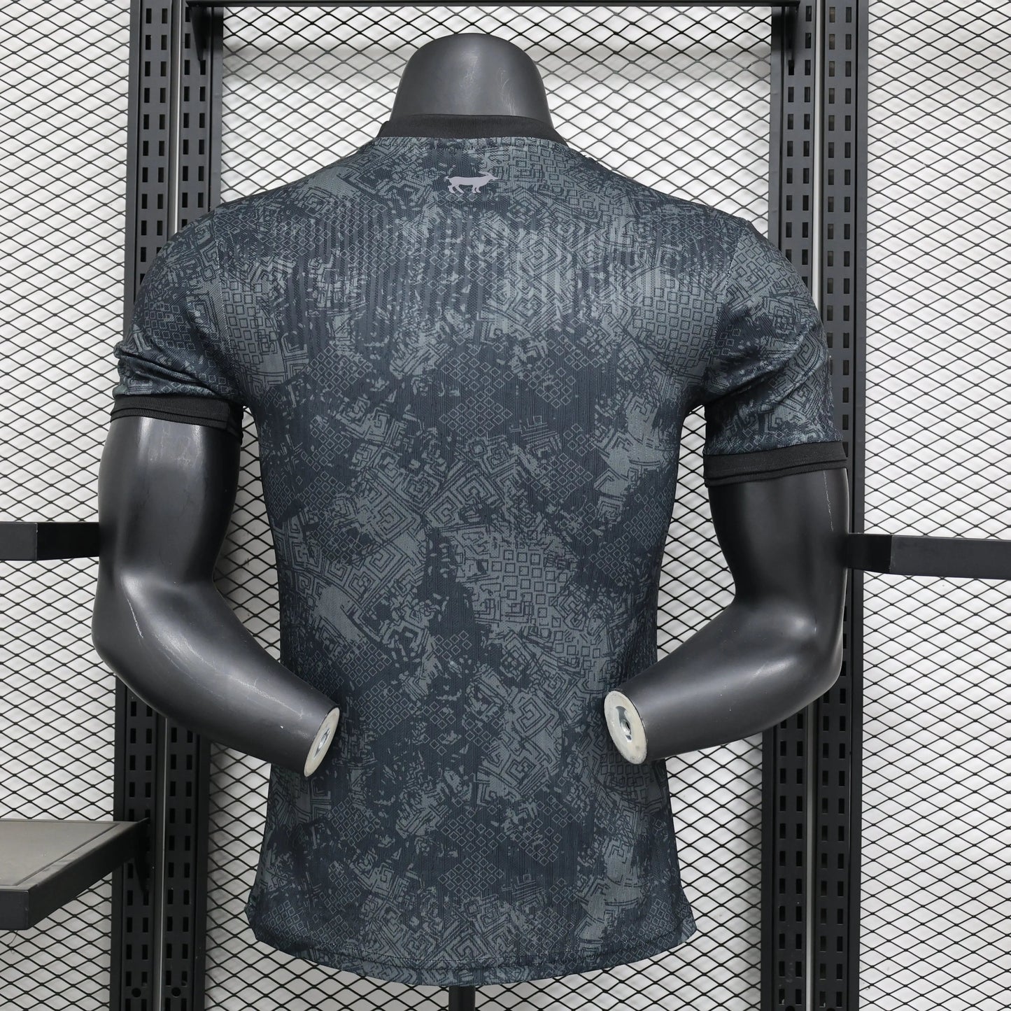 Maillot Player 24/25 Argentine Spécial