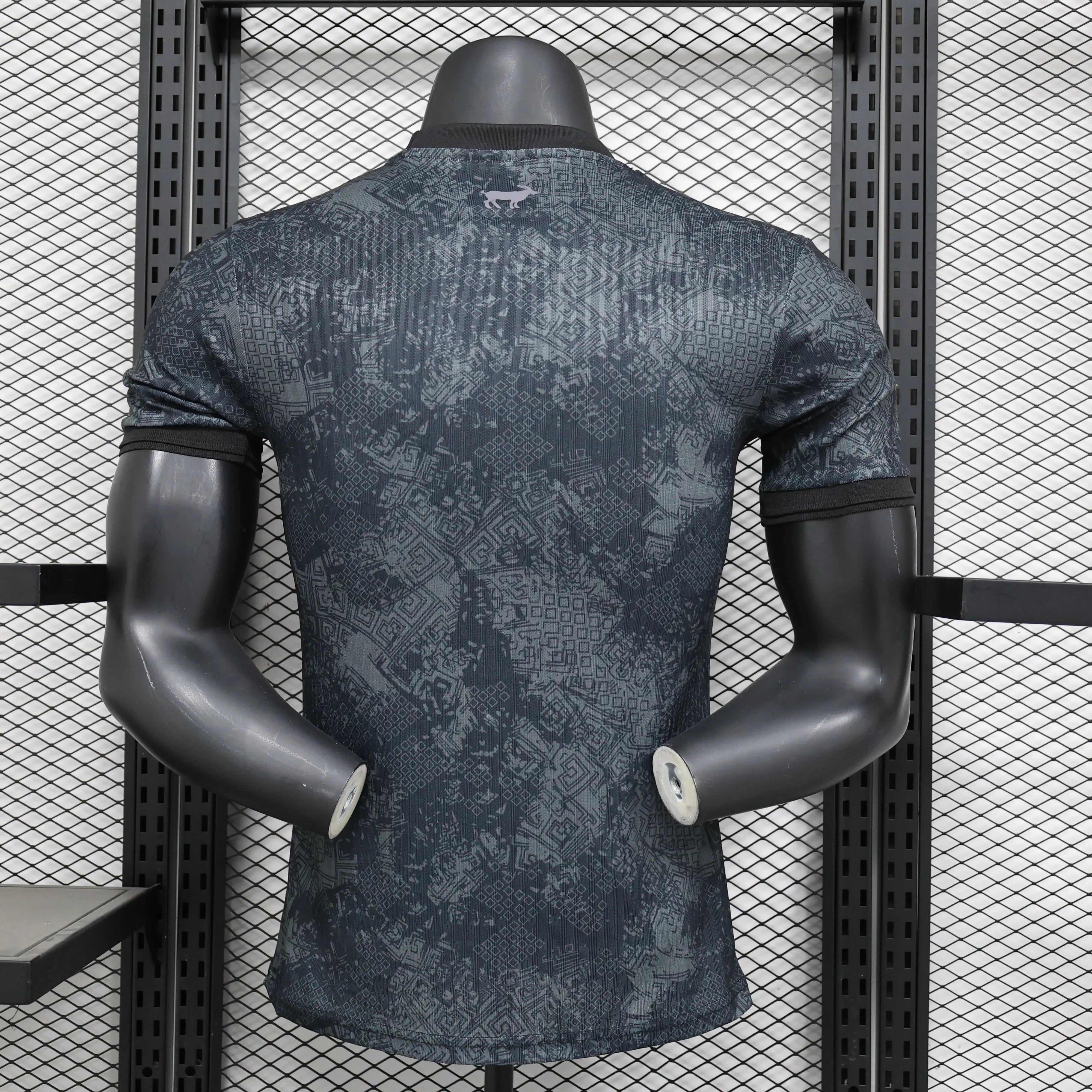 Maillot Player 24/25 Argentine Spécial