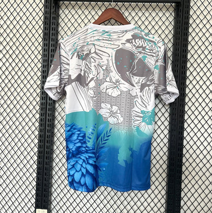 Brésil 2025 Concept