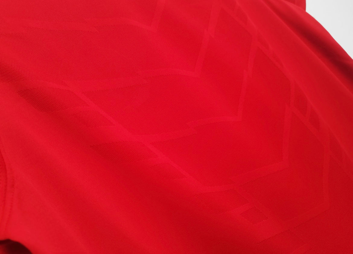 Manchester United 2010/11 Domicile