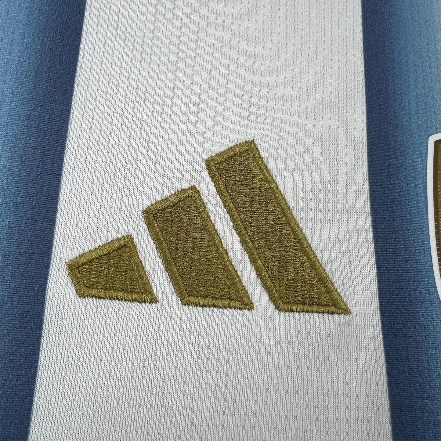 2026 World Cup Argentina Home