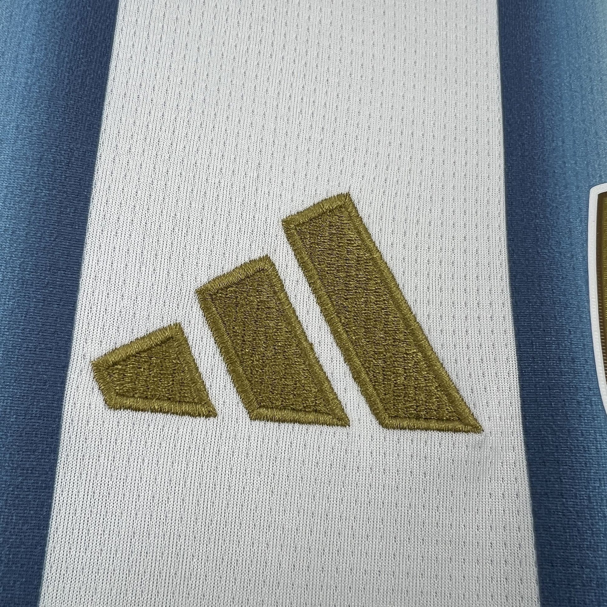 2026 World Cup Argentina Home