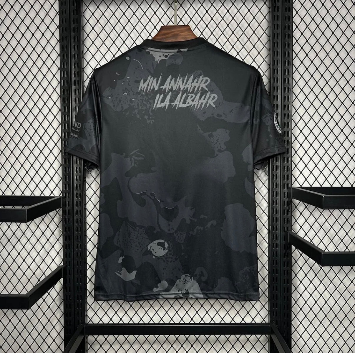 Palestine 2025 Concept