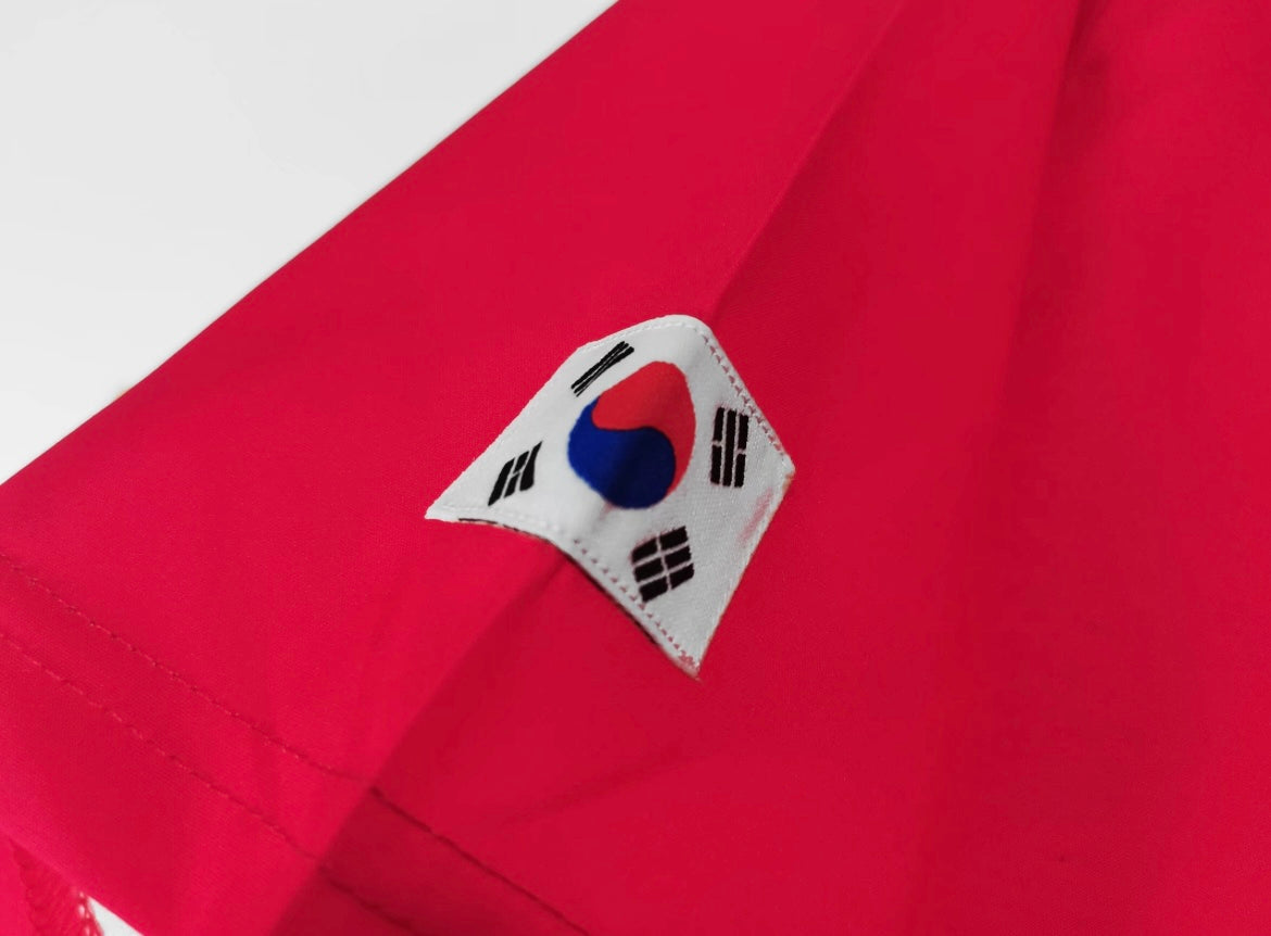 Corée du Sud 2002 Domicile