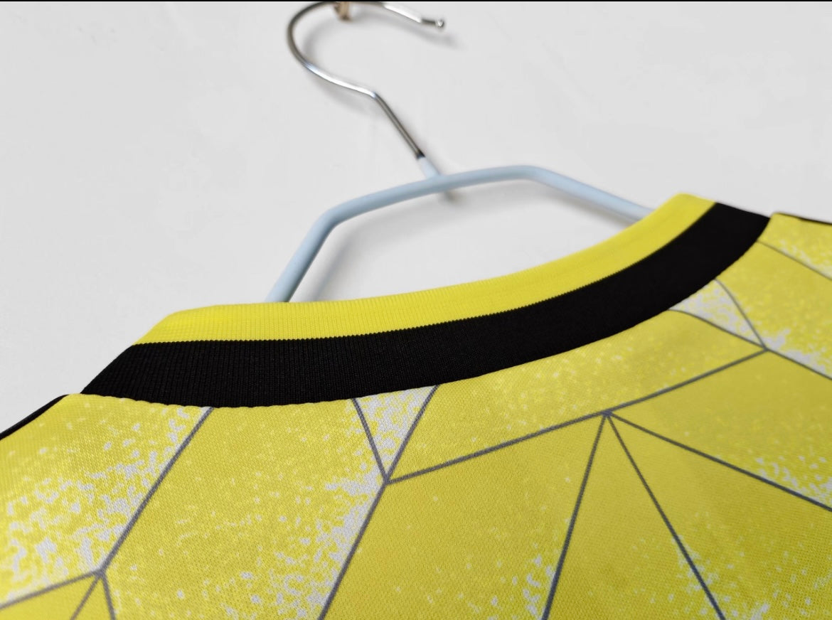 BVB Dortmund 1888/89 Domicile