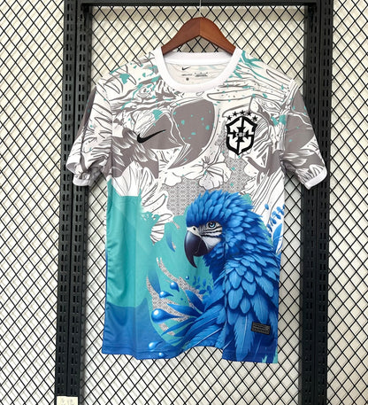 Brésil 2025 Concept