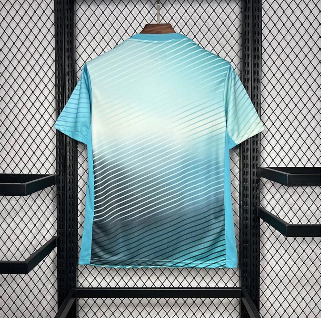 Corée du Sud 2024 Entraînement