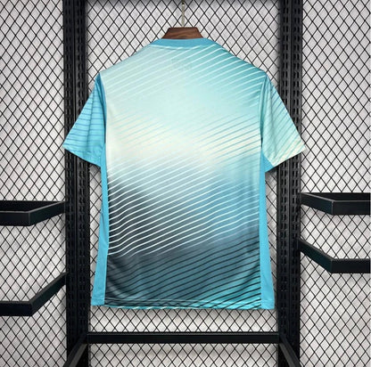 Corée du Sud 2024 Entraînement