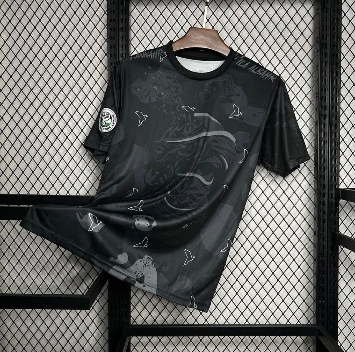 Palestine 2025 Concept