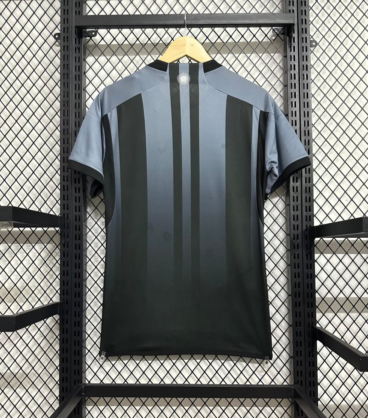 Argentine 2024 Concept