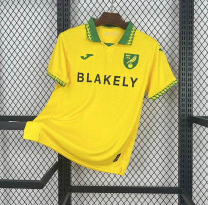 Norwich City 2025/26 Domicile