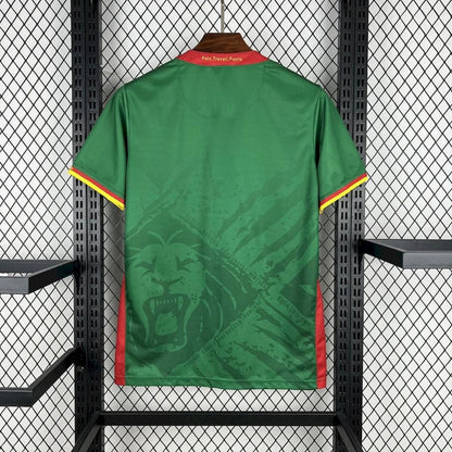 Cameroun 2025 Domicile