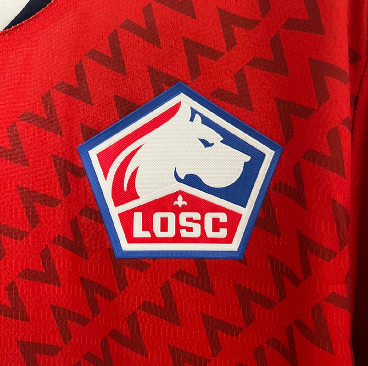 LOSC 2024/25 Domicile