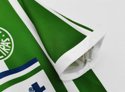 Palmeiras 1991/92 Domicile