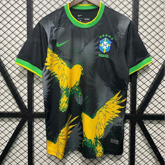 Brésil 2024 Concept