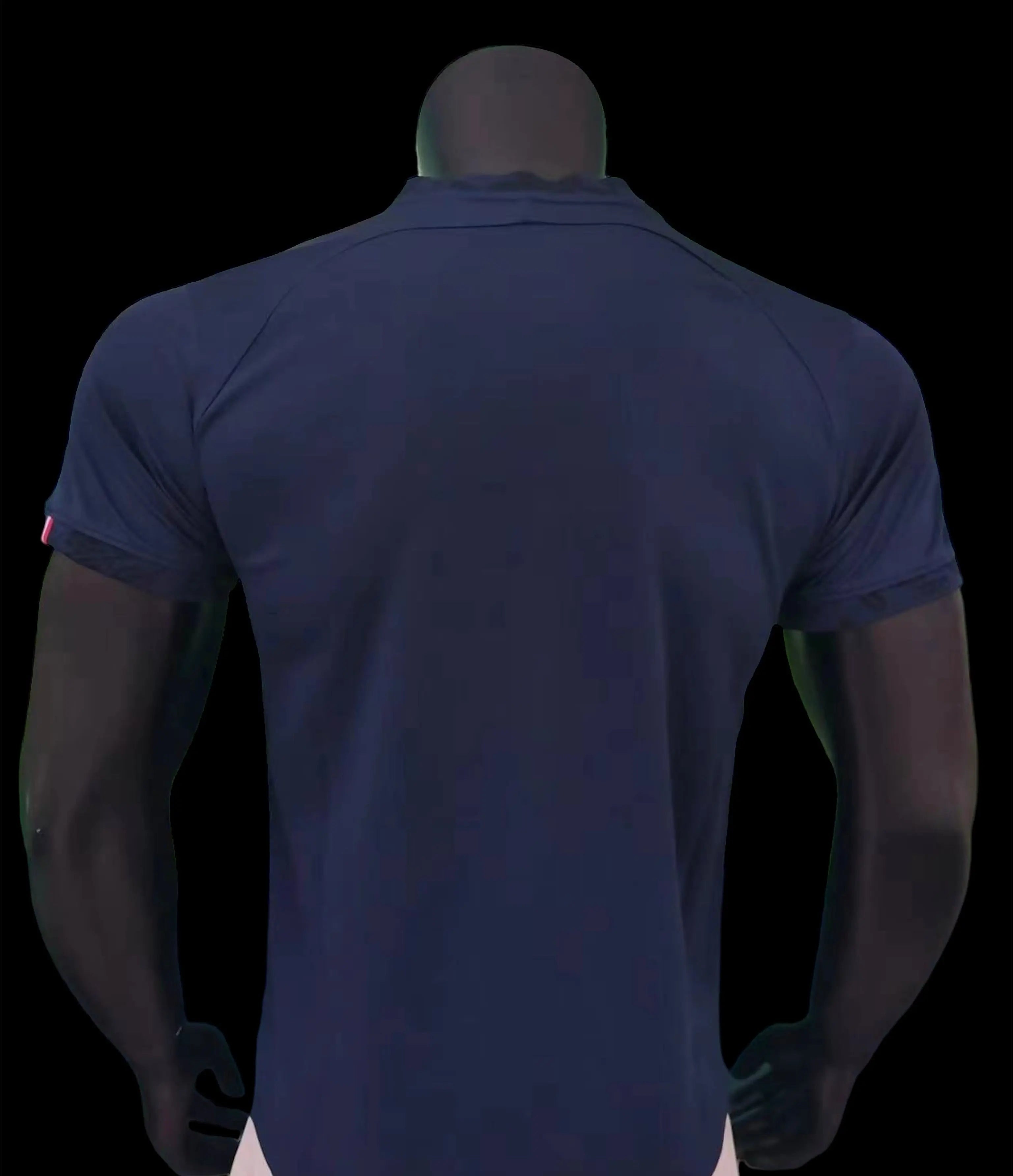 Équipe de France maillot Domicile version Player 2023 2024