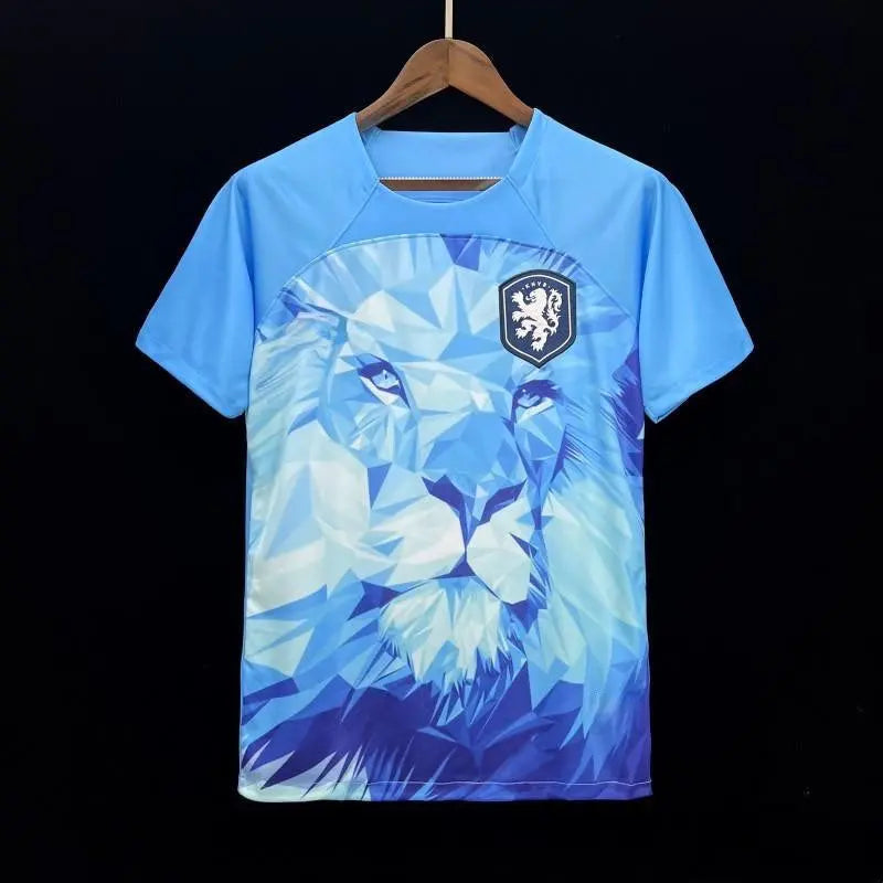 Angleterre maillot Édition spéciale 2023 2024