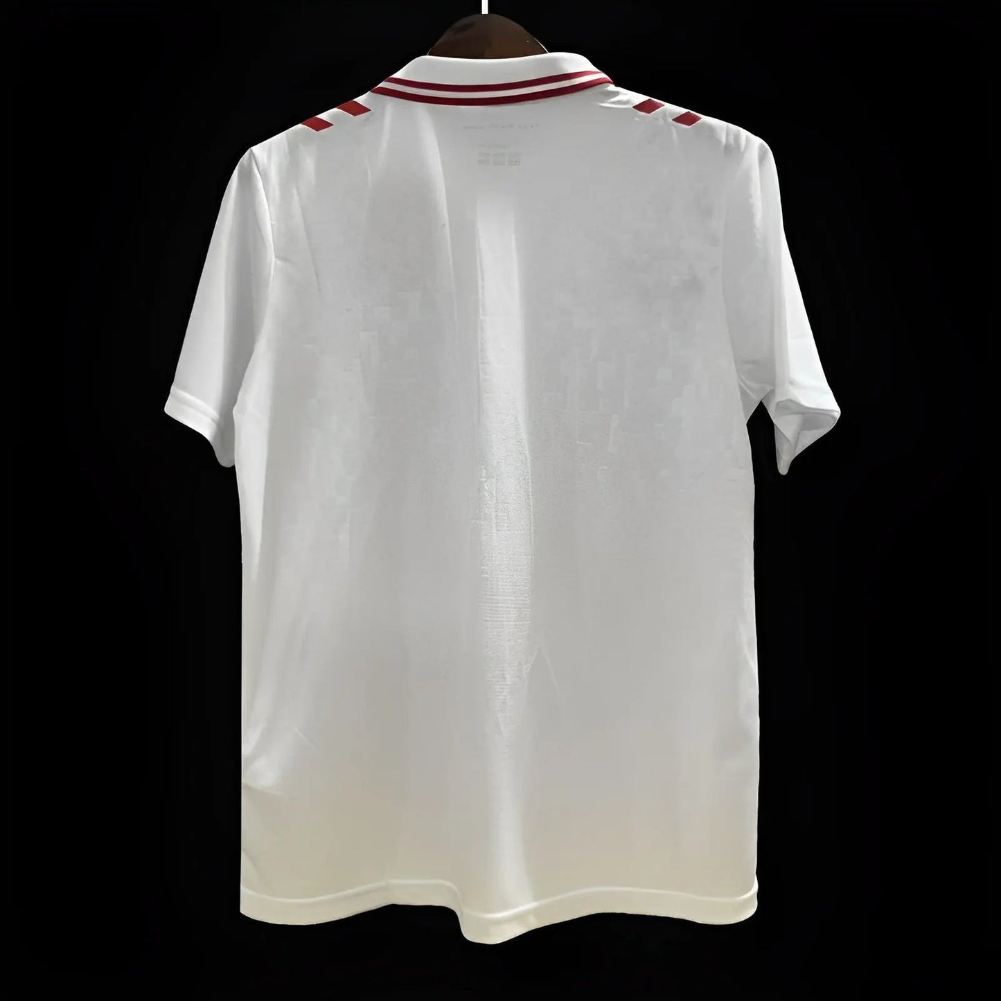 Maillot 24/25 Danemark Blanc