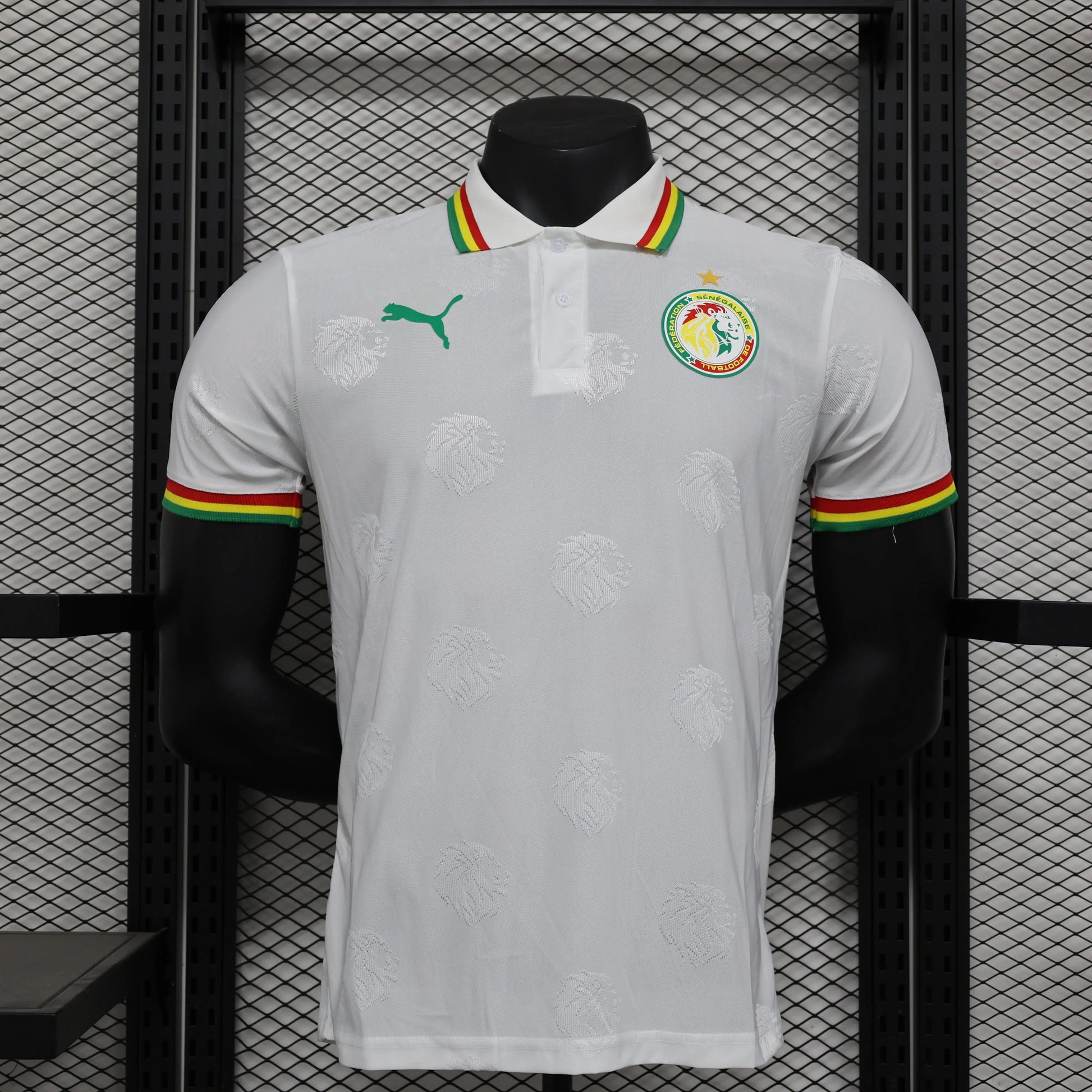 Maillot PLAYER 24/25 Sénégal Spécial Blanc