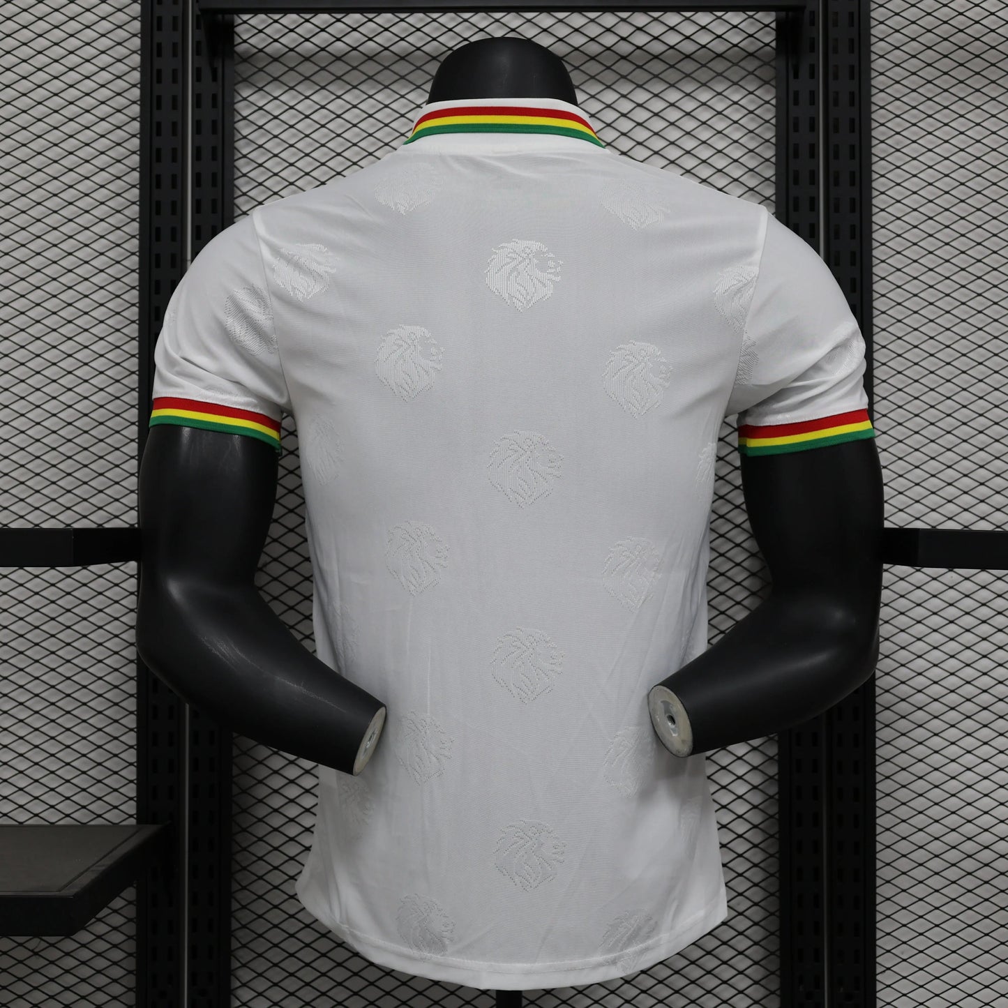 Maillot PLAYER 24/25 Sénégal Spécial Blanc