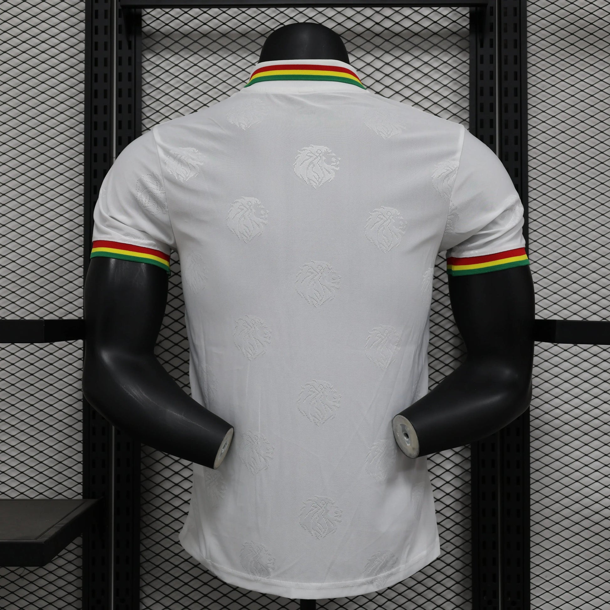 Maillot PLAYER 24/25 Sénégal Spécial Blanc