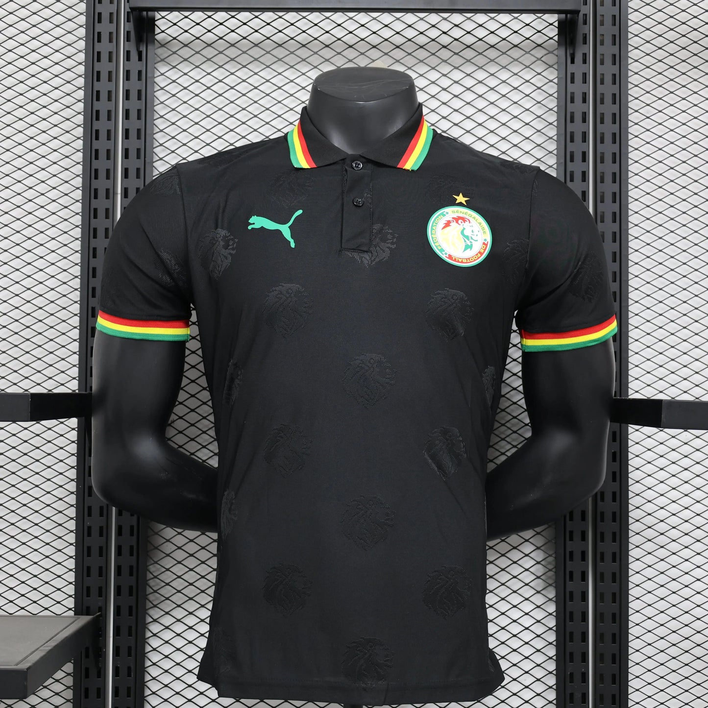 Maillot PLAYER 24/25 Sénégal Spécial