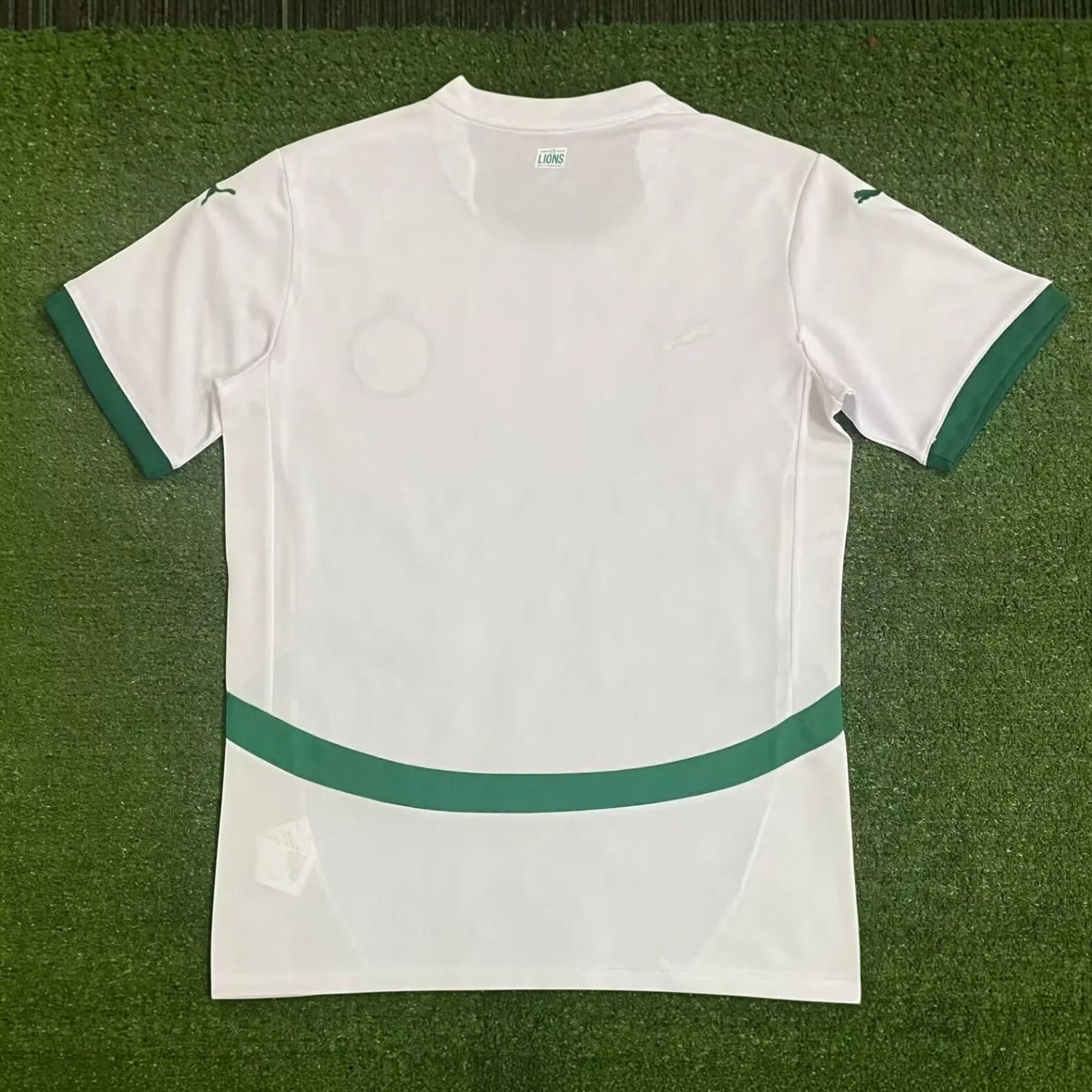 Leazofoot Senegal 24/25 special edition white football jersey with green trim and Puma branding on green grass.